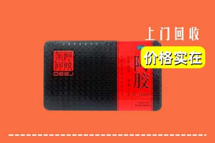 金安区回收阿胶