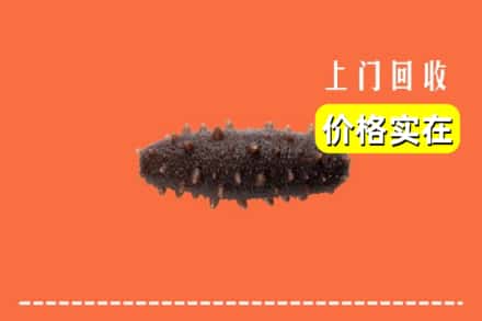 金安区回收海参