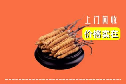 金安区回收冬虫夏草